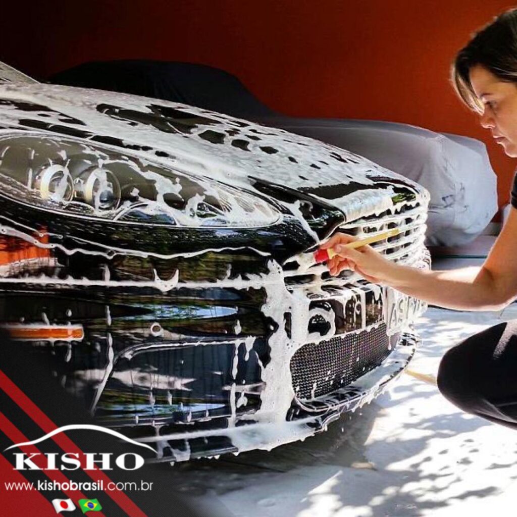 Profissional autorizado Kisho executando a lavagem técnica correta.